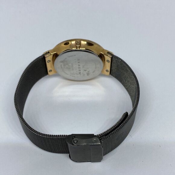 Skagen SKW2120 Women\'s Stainless Steel Mesh Analog Black Dial Quartz Watch JK787 main image 10